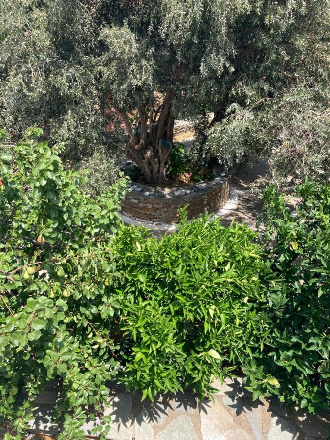 Agkyra Rooms Aladhinon Exterior foto